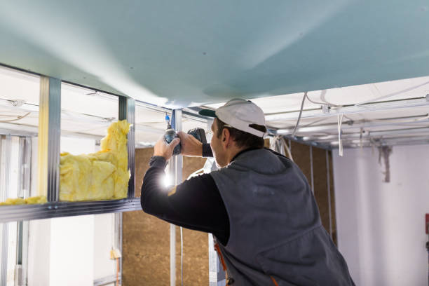 Types of Insulation We Offer in Tehaleh, WA